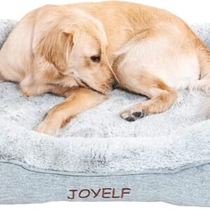 Ortopedinis XL dydžio šuns guolis su memory foam, nuimamu užvalkalu ir neslystančiu pagrindu